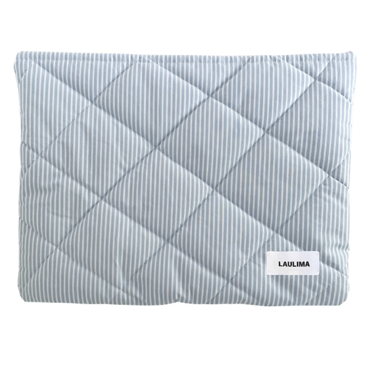 Light Blue Striped Laptop Case